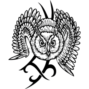 Owl with a tribal design in the background