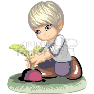 A little boy pulling up a turnip