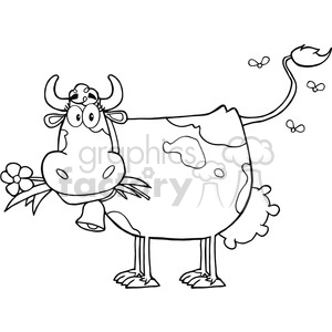 Dairy Cow With Flower In Mouth