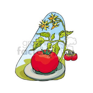 This clipart image displays a large ripe tomato on a plate with a tomato plant in the background, showing leaves, flowers, and smaller tomatoes still attached to the vine.