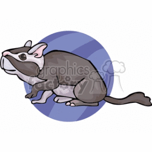 The clipart image shows a stylized depiction of a rat. The rat is positioned in profile, with a prominent round ear, a long tail, and a grey body, set against a simple blue circular background.