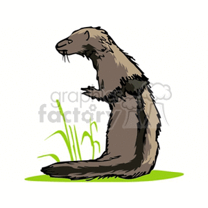 The image shows a clipart illustration of a mink animal sitting on its hind legs on a green patch with a few blades of grass. The mink has a dark brown fur coloration and a slightly lighter underbelly, with a visible snout, whiskers, and small ears.