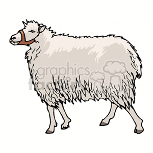 The image depicts a clipart of a fluffy sheep with a white fleece and a brown face. It appears to be a cartoon-style representation of a typical domestic sheep.