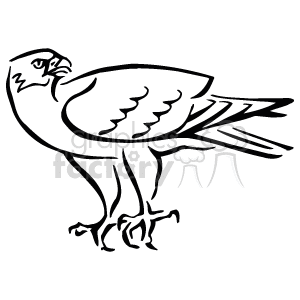 The clipart image shows a black-and-white drawing of a hawk.