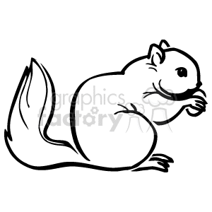 The clipart image shows a line drawing of a squirrel. The squirrel is in a profile pose with its tail up and curved over its back. It appears to have its front paws raised toward its mouth as if it's eating a nut, which is a common behavior for squirrels as they often eat nuts.