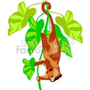 This is a clipart image featuring a stylized representation of a nocturnal primate known as a bush baby or galago. The animal is depicted hanging upside down with its tail wrapped around a green vine, surrounded by large green leaves, suggesting that it is either climbing or resting in its natural habitat.