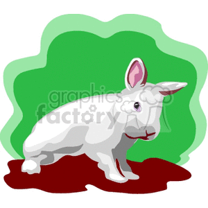 The clipart image shows a white rabbit with prominent pink ears, sitting on a red surface, against a background of green.