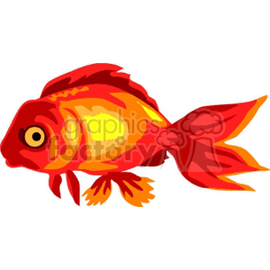 The clipart image shows a stylized representation of a red and orange goldfish with prominent features such as a large eye, fins, and tail.