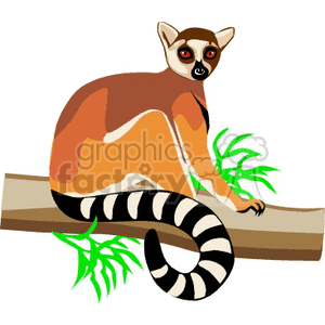The clipart image features a stylized representation of a lemur. The lemur is sitting on a branch with its tail hanging down, displaying black and white rings. It has a brown back, a lighter front, and distinctive dark eye markings on its face.