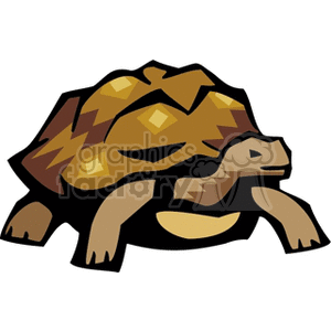 The image is a clipart representation of a turtle. The turtle has a stylized shell with geometric patterns and a simplified form that captures the essence of a turtle without detailed realism.