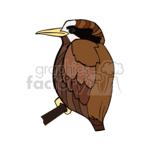 The clipart image depicts a stylized bird perched on a twig. The bird appears to be a representation of a wren, which is a small, brown, passerine bird known for its energetic behavior. The colors used in the image suggest it could be inspired by a species of wren possibly found in the Australian bush, characterized by variations of brown on its feathers and distinctive markings around its eye and beak. The image is simple and uses smooth lines and colored areas without intricate textures or details, typical of clipart style.