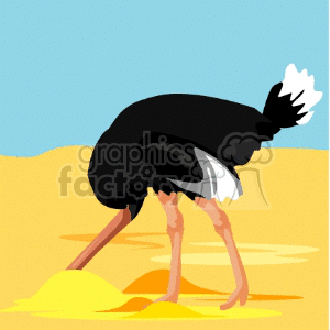 Ostrich with head in the sand
