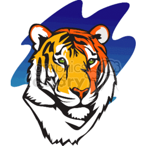 The image is a clipart of a tiger's head, depicted with stylized lines and colors, likely designed to serve as a logo or mascot. The tiger has prominent orange and black stripes, characteristic of a tiger's natural coloring, with a touch of blue in the background to set off the head from the surroundings.