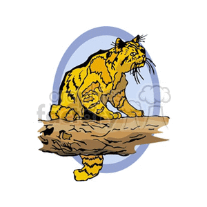 The clipart image shows a stylized illustration of a wild cat, which resembles an ocelot or leopard, standing on a log. The cat has distinctive spotted fur, typical of these wild feline species, and it is set against a blue and white circular background.