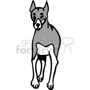 This is a clipart image depicting a Doberman Pinscher, which is a breed of domestic dog. The dog is shown in a standing position with a front-facing view. The clipart is stylized with clean lines and minimal shading, primarily in grayscale colors.