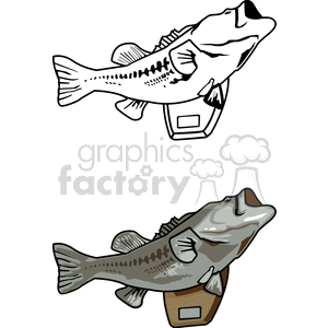 The clipart image features two illustrations of largemouth bass, one in black and white and the other in color. Both fish are depicted as being caught on a fishing scale, indicating successful fishing or a catch-and-release activity.