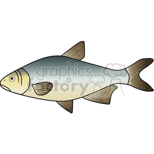 The clipart image shows a stylized rendition of a fish, possibly resembling a salmon, with a gradation of colors from grey to white along its body and darker shades on its fins and tail.