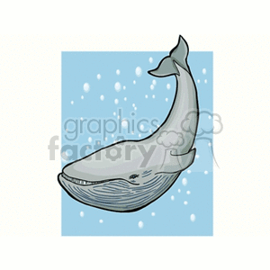 underwater whale