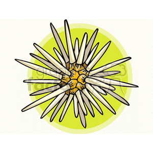 The clipart image depicts an illustration of a spiny or prickly fish, displayed within a circular background. The fish appears to be a stylized version of a sea urchin, based on the radial symmetry and long, narrow spines emanating from its central body. The background has a greenish-yellow hue, contrasting the fish's spiny silhouette.