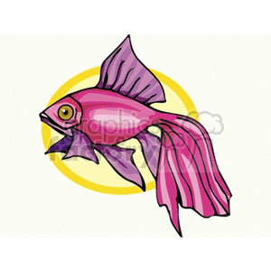 The image shows a stylized illustration of a pink fish with prominent fins and a yellow background. It appears to be a type of tropical fish due to its vibrant colors and fin structure.