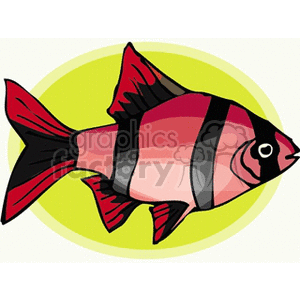 The image is a cartoonish clipart of a tropical fish with a bright color palette, predominantly featuring red and pink hues, with black stripes and a contrasting yellow background that gives the impression of a simplified aquatic environment.