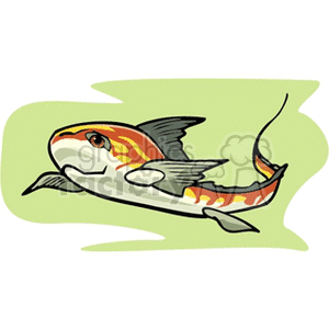 The clipart image features a stylized, cartoon-like illustration of a koi fish. The fish is depicted with bright colors and patterns, indicative of the ornamental varieties often found in decorative ponds. It has distinctive features including large fins and a flowing tail.