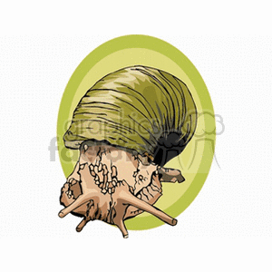 The clipart image shows a stylized drawing of a snail. It features the snail with its characteristic coiled shell and a visible body with its head, tentacles, and a part of its foot.