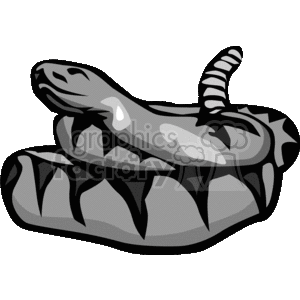 The clipart image depicts a stylized representation of a coiled rattlesnake. You can tell it's a rattlesnake by the characteristic rattle on the end of its tail which is visible. The snake is shown in shades of grey and is coiled up, possibly in a defensive or resting posture.