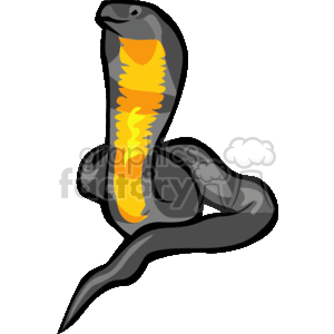 The clipart image features a stylized cobra. It's an illustration of a cobra snake in an upright position with its hood expanded, which is characteristic of cobras when they feel threatened or are displaying aggression. The depicted cobra has a black and gray body with an orange and yellow underbelly, which is highlighted within the expanded hood.