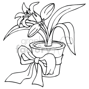 The image features a line art drawing of a potted plant with several leaves and blooms. The pot is wrapped with a ribbon tied in a bow.