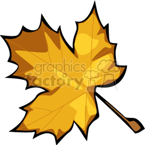 golden maple leaf