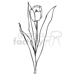 The clipart image shows a single tulip flower with its stem and leaves. The tulip is depicted in a stylized, outline form which is commonly used in various designs and decorations.