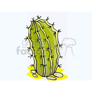 cactus71512