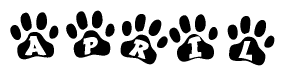 The image shows a series of animal paw prints arranged horizontally. Within each paw print, there's a letter; together they spell April