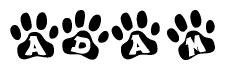 The image shows a series of animal paw prints arranged in a horizontal line. Each paw print contains a letter, and together they spell out the word Adam.