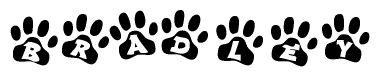 The image shows a series of animal paw prints arranged horizontally. Within each paw print, there's a letter; together they spell Bradley
