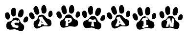 The image shows a series of animal paw prints arranged in a horizontal line. Each paw print contains a letter, and together they spell out the word Captain.