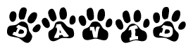 The image shows a series of animal paw prints arranged horizontally. Within each paw print, there's a letter; together they spell David