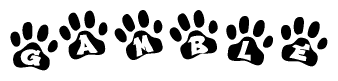 The image shows a series of animal paw prints arranged in a horizontal line. Each paw print contains a letter, and together they spell out the word Gamble.