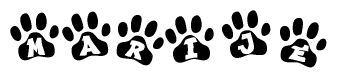 The image shows a row of animal paw prints, each containing a letter. The letters spell out the word Marije within the paw prints.