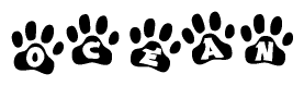 The image shows a series of animal paw prints arranged in a horizontal line. Each paw print contains a letter, and together they spell out the word Ocean.