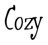 The image contains the word 'Cozy' written in a cursive, stylized font.