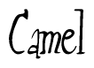 The image is of the word Camel stylized in a cursive script.
