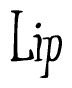 The image is a stylized text or script that reads 'Lip' in a cursive or calligraphic font.