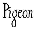 The image is of the word Pigeon stylized in a cursive script.