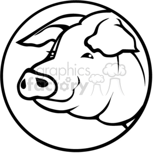 The clipart image shows a simple, stylized outline of a pig's head encircled within a round border. The design is black and white, and the pig is depicted in profile with features such as its snout, ears, and eyes clearly defined. The style of the drawing suggests that it's ideal for applications like vinyl cutting due to its clean lines and clear separation of elements.