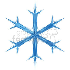 fancy vector snowflake