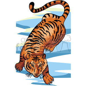 The clipart image depicts a realistic vector illustration of a tiger, a large wild cat with orange fur and black stripes, prowling.