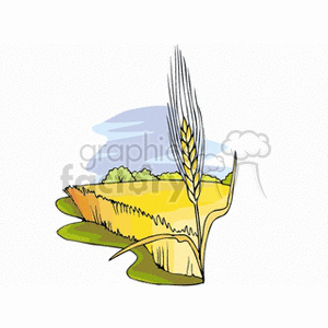 The image is a stylized clipart representation of a golden wheat field with an enlarged wheat stalk in the foreground. The background features a blue sky.