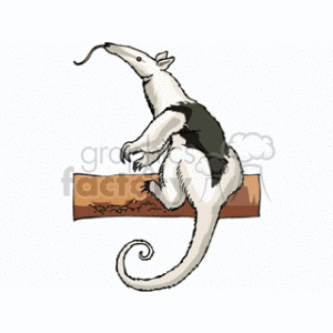 This clipart image features an illustration of an anteater. The anteater is depicted with a long, curved tail and an elongated snout, characteristic of its species, which it uses to eat ants and termites. It is shown sitting on a brown branch with its body primarily in profile view.